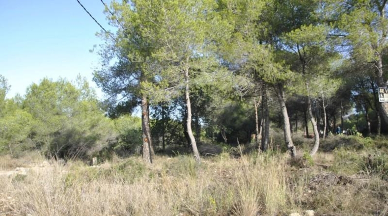 Barcelona - Cubelles - 6540m2
