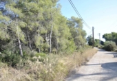 Terreny no urbanitzable en venda a la España, Cubelles, ref.: TR124836 foto