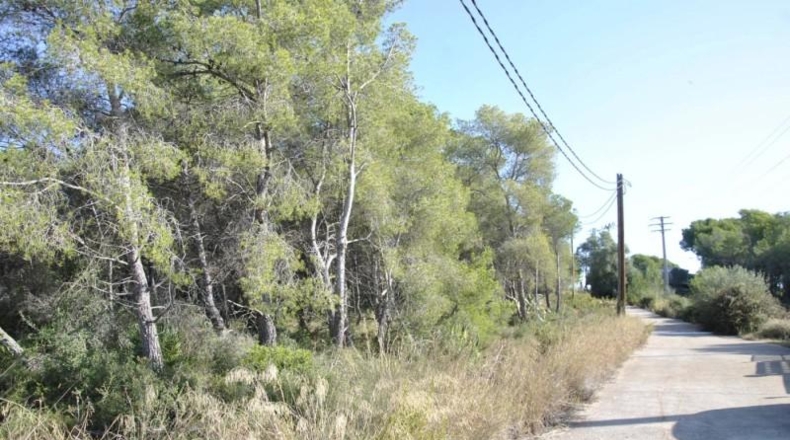 Barcelona - Cubelles - 6540m2