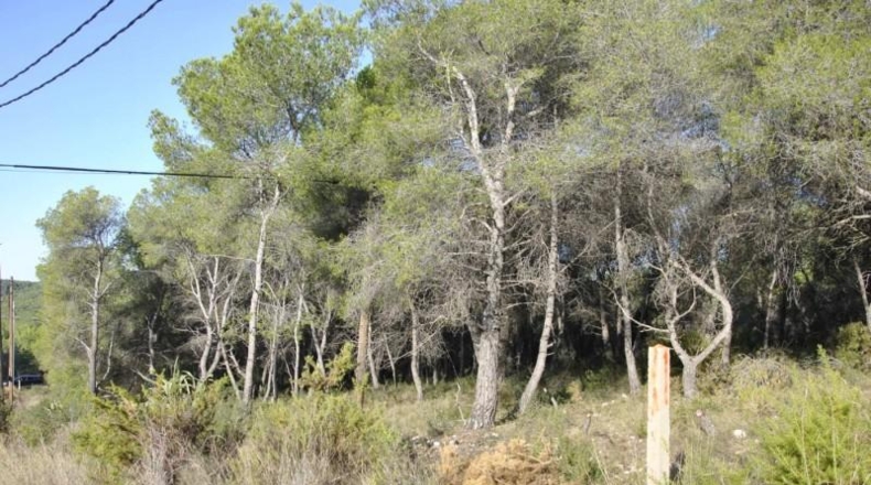 Barcelona - Cubelles - 6540m2