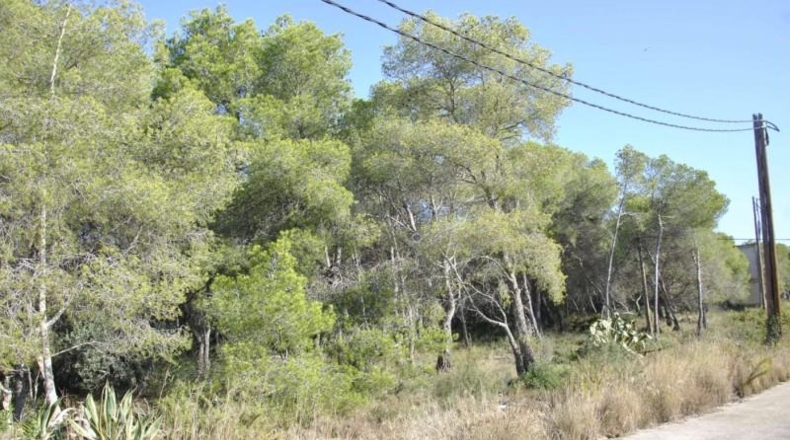 Barcelona - Cubelles - 6540m2