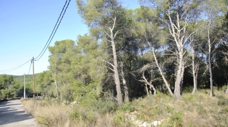 Barcelona - Cubelles - 6540m2