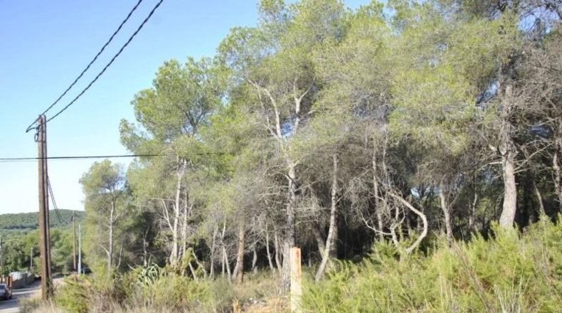 Barcelona - Cubelles - 6540m2