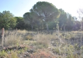 Terreny no urbanitzable en venda a la España, Cubelles, ref.: TR124836 foto