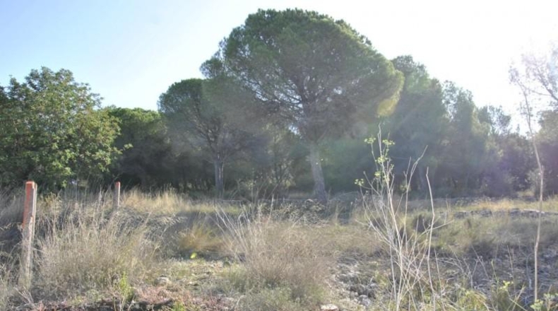 Barcelona - Cubelles - 6540m2