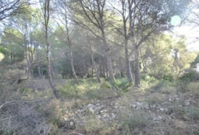 Foto 15