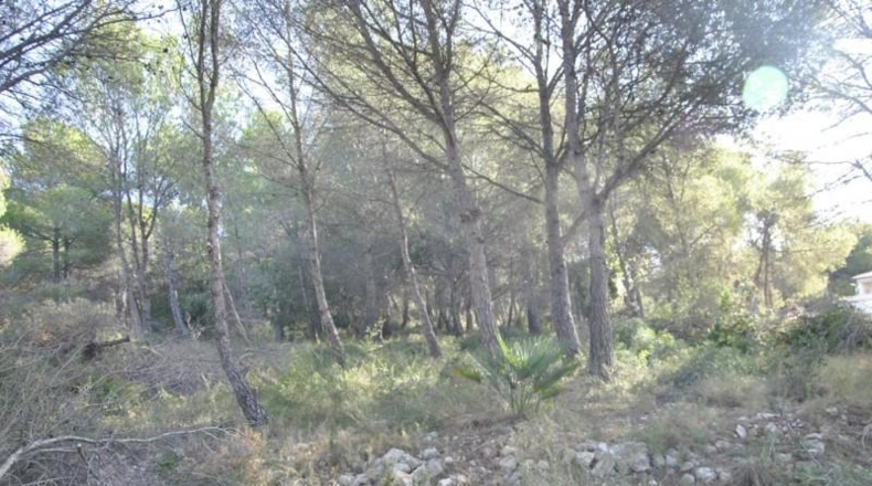 Barcelona - Cubelles - 6540m2