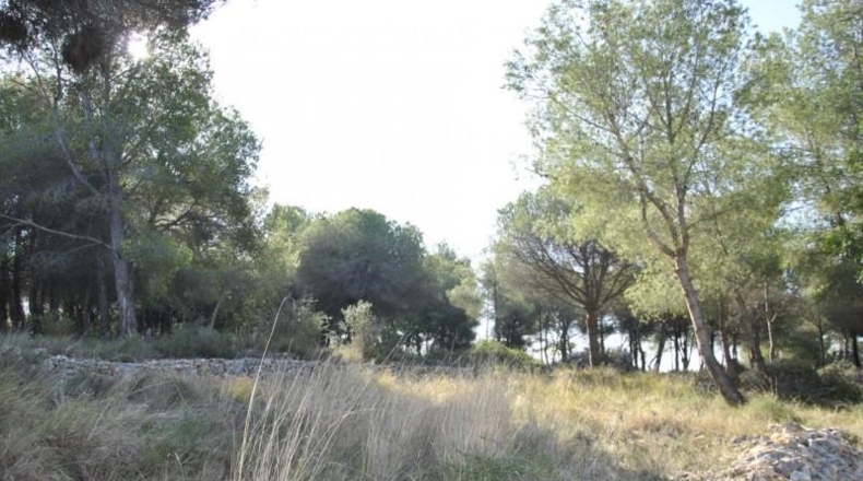 Barcelona - Cubelles - 6540m2