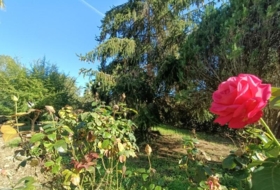 Foto 13
