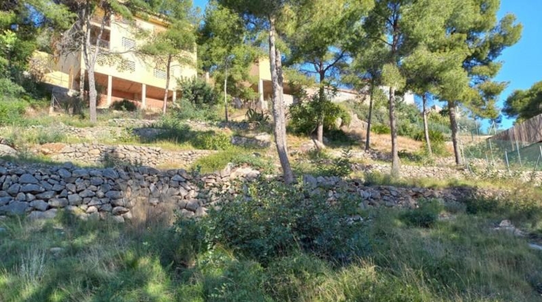 Castellón - Benicasim - 622m2
