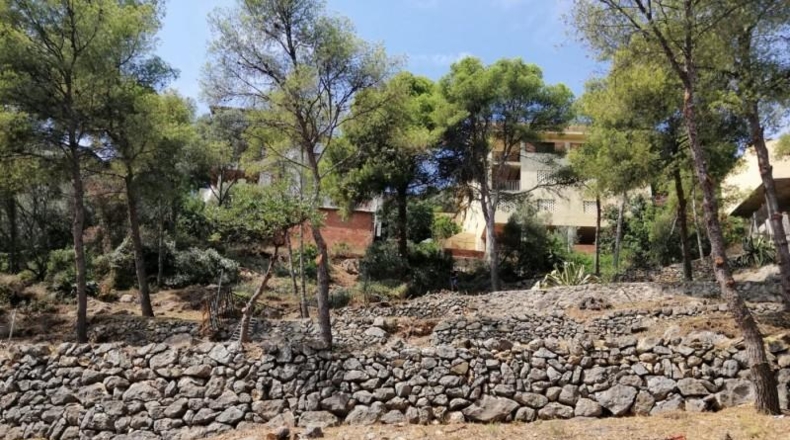 Castellón - Benicasim - 622m2