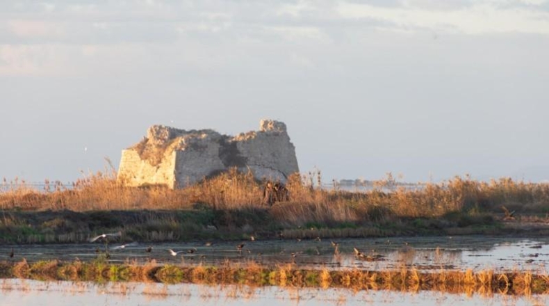 Tarragona - Amposta - 312m2