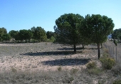 Casa de camp amb terreny en venda a la España, Castalla, ref.: TR129540 foto