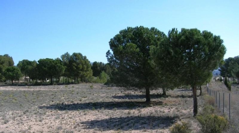 Alicante - Castalla - 13477m2