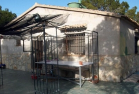 Foto 11