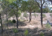 Casa de camp amb terreny en venda a la España, Castalla, ref.: TR129540 foto