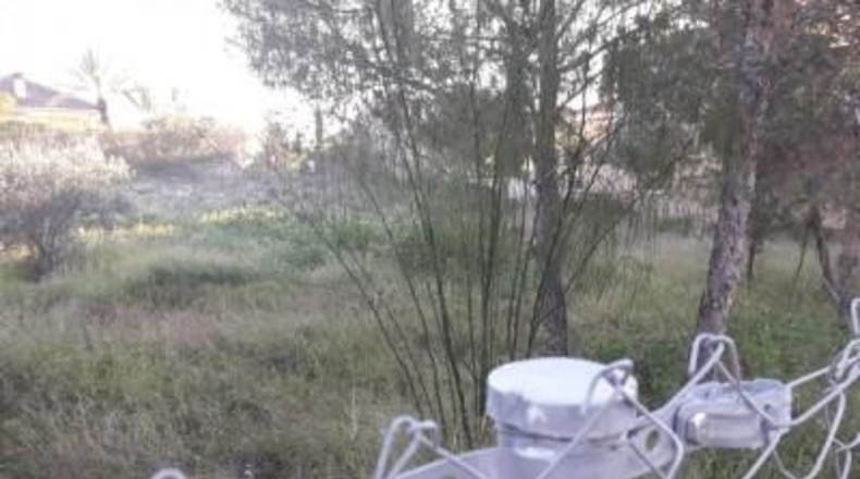 Múrcia - Molina de Segura - 1073m2