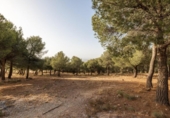 Sòl urbà en venda a la España, La Zubia, ref.: TR325888 foto