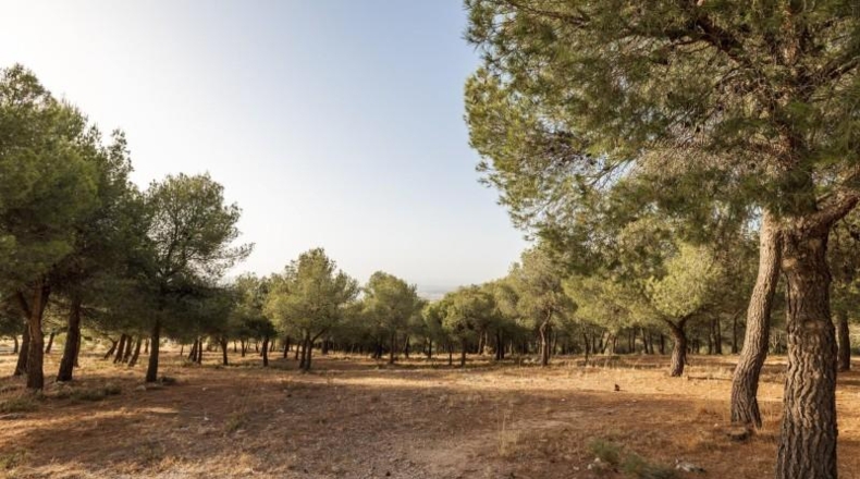 Orense - Rubiá - 1300m2