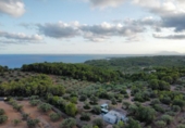 Chalet independiente con terreno en venta en la España, l'Ametlla de Mar, ref: TR338881 foto