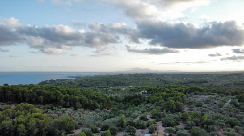 Tarragona - l'Ametlla de Mar - 5668m2