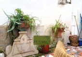 Village house for sale on España, Ontinyent, ref: TR314705 photo