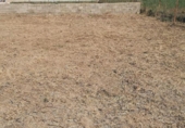 Suelo urbano en venta en la España, Burriana, ref: TR388583 foto