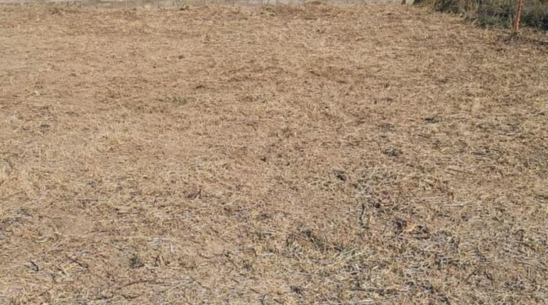 Castellón - Burriana - 803m2