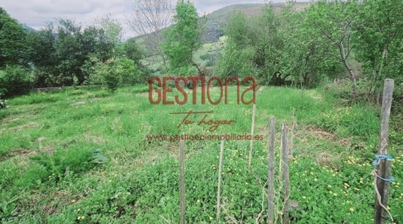 Cantabria - Ramales de la Victoria - 1000m2