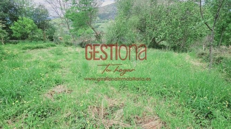 Cantabria - Ramales de la Victoria - 1000m2
