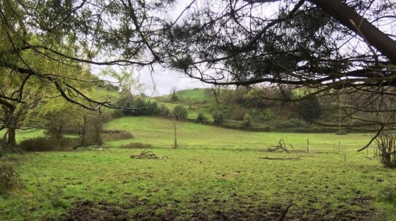 Asturias - Gijón - 2000m2