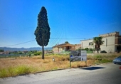 Casa amb terreny en venda a la España, Múrcia, ref.: TR304854 foto
