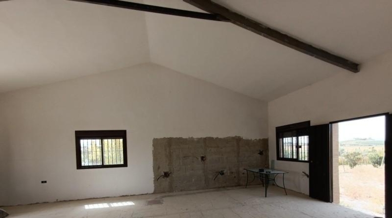 Cádiz - Villamartín - 1700m2