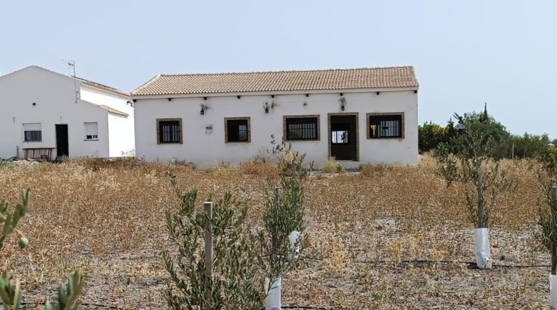 Cádiz - Villamartín - 1700m2