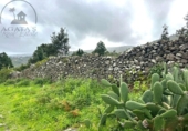 Sòl urbà en venda a la España, La Guancha, ref.: TR381062 foto