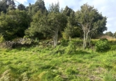 Sòl urbà en venda a la España, La Guancha, ref.: TR381062 foto