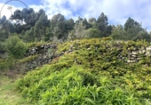 Sòl urbà en venda a la España, La Guancha, ref.: TR381062 foto