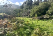 Sòl urbà en venda a la España, La Guancha, ref.: TR381062 foto