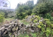 Sòl urbà en venda a la España, La Guancha, ref.: TR381062 foto