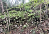 Sòl urbà en venda a la España, La Guancha, ref.: TR381062 foto