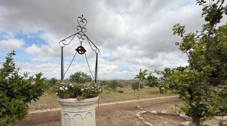 Murcia - Cartagena - 12700m2