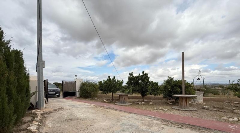 Murcia - Cartagena - 12700m2