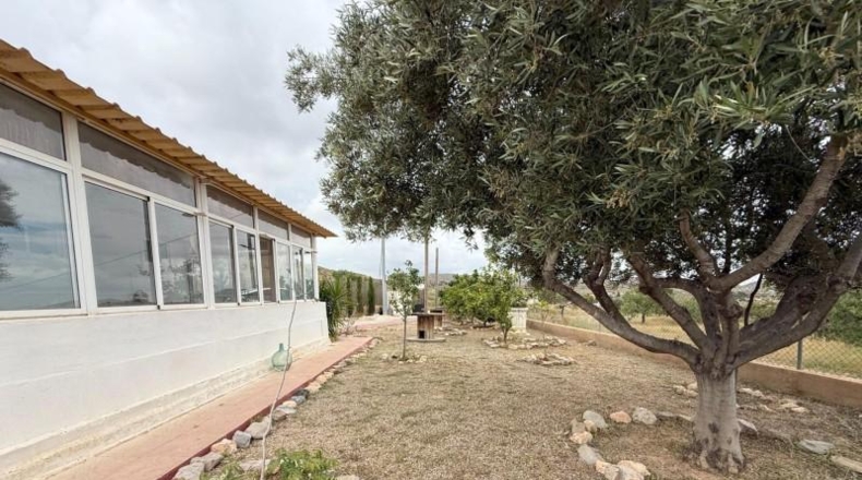 Murcia - Cartagena - 12700m2