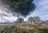 House with land for sale on España, Lliçà de Vall, ref: TR282074 photo