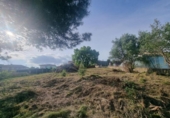 House with land for sale on España, Lliçà de Vall, ref: TR282074 photo