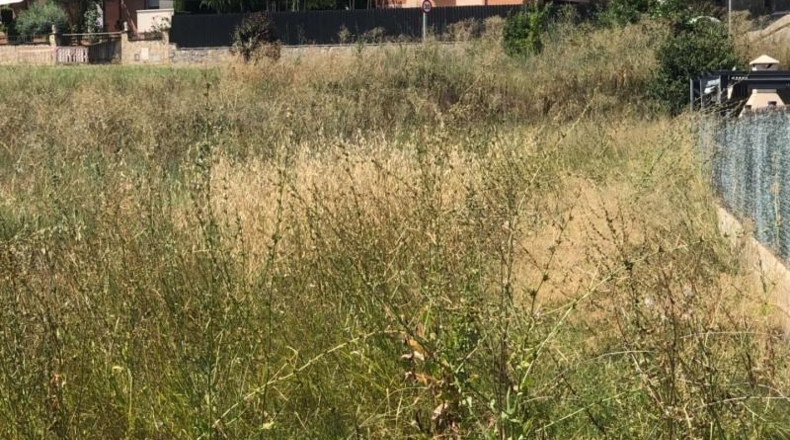 Barcelona - Navarcles - 636m2