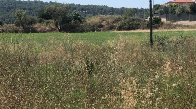 Barcelona - Navarcles - 636m2