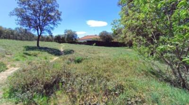Guadalajara - El Casar - 1610m2