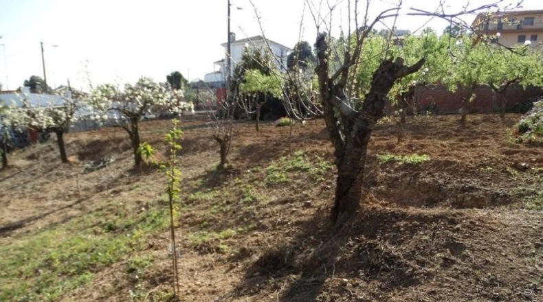 Barcelona - Sant Esteve Sesrovires - 670m2