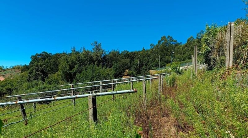 Pontevedra - Sanxenxo - 850m2